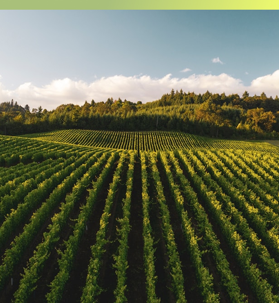 Notre expertise en batiments techniques : agricoles, cuveries, collectifs, bureaux, commerciaux